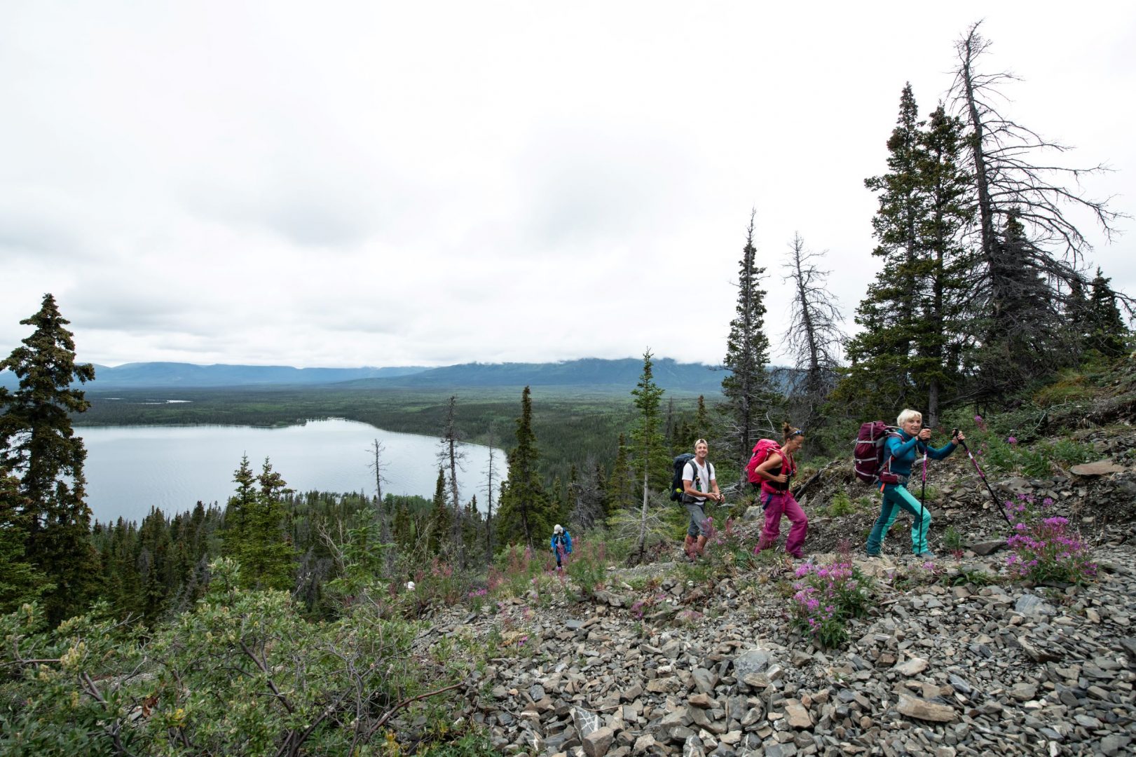 Alaska and Yukon Explorer – Hiking and Hotel Tour